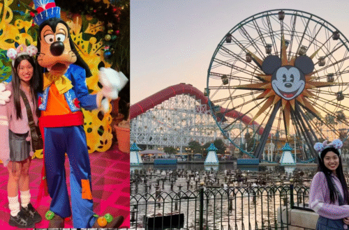 Disney California Adventure photo with Goofy 美國迪士尼合照打卡 高飛狗角色見面會