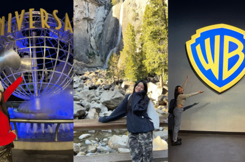 Universal Studios Hollywood Christmas decorations 小小兵聖誕樹 美國環球影城節慶燈飾 洛杉磯冬季景點