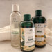 The Body Shop 夏日香氛沐浴乳推薦與防掉髮薑根洗髮精推薦，三款熱門洗沐產品大合照。